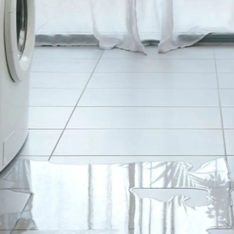 Appliance Leak Cleanup in Putnam County, GA
