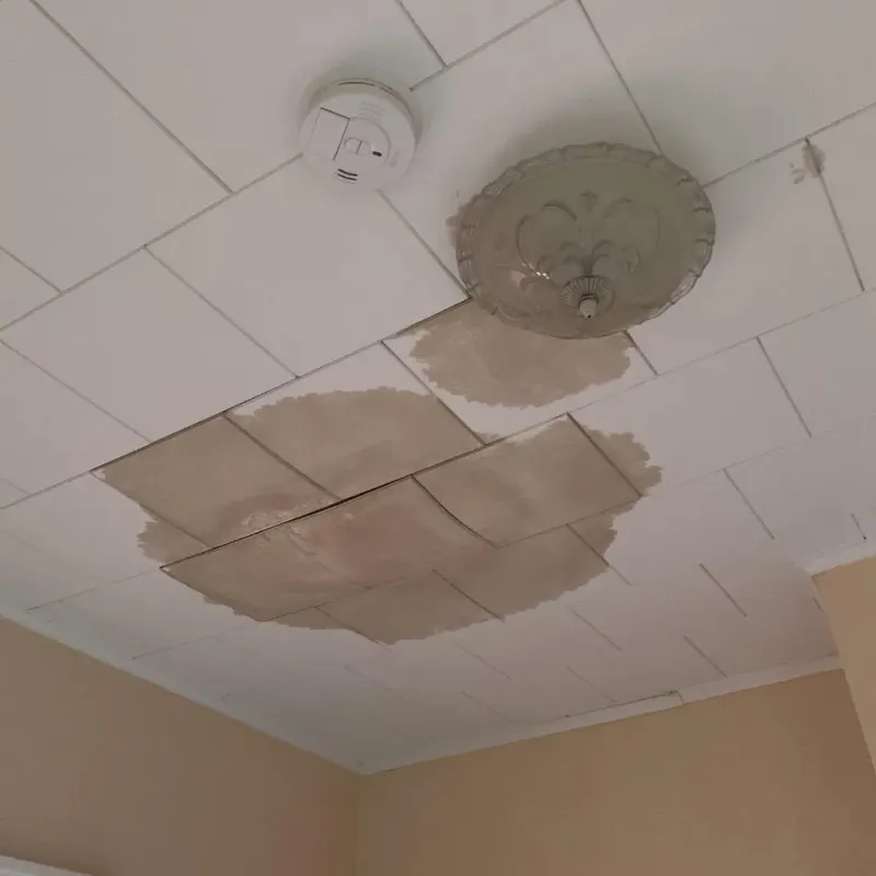 Ceiling Water Damage Repair in Putnam County, GA