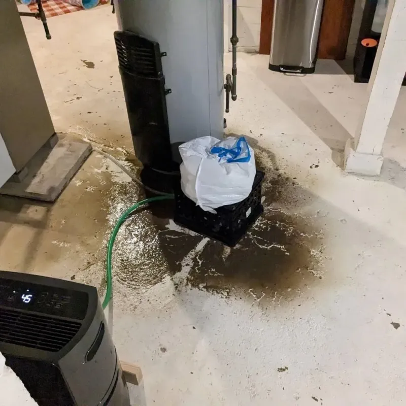 Sewage Backup Cleanup Service in Putnam County, GA